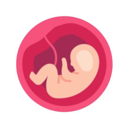 Early Development Notes