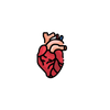 Cardio Concepts for Fast Recall
