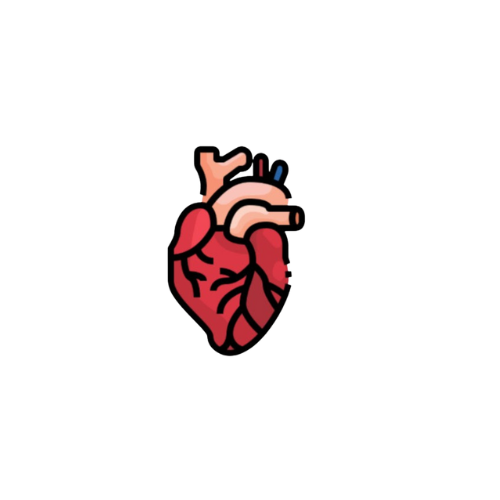 Cardio Concepts for Fast Recall